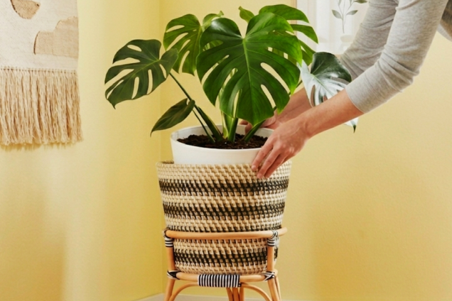 Gridwork Basket Planter